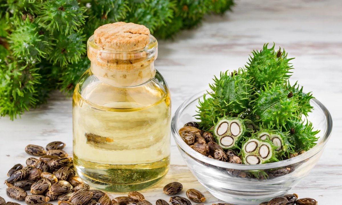 Castor Oil For Skin: ऐसे करें अपनी त्वचा पर अरंडी के तेल का इस्तेमाल और बेहतर त्वचा पाएँ